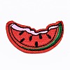 Watermelon Appliques X-DIY-S041-071-1