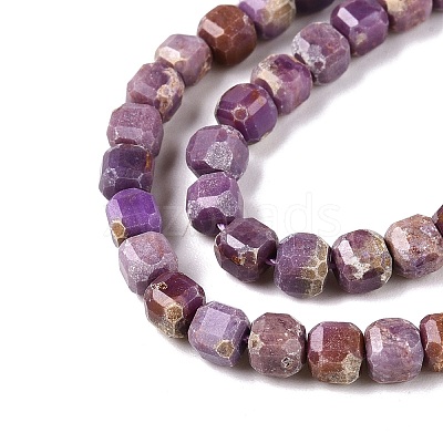 Natural Lepidolite Beads Strands G-N342-140-1