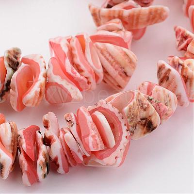 Natural Shell Bead Strands BSHE-P010-03-1