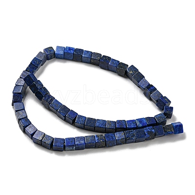 Natural Lapis Lazuli Beads Strands G-C084-E05-01-1