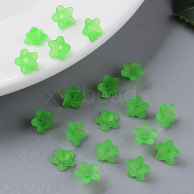 Transparent Acrylic Beads X-PL554-13-1