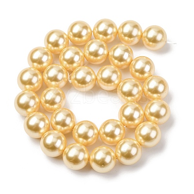 Electroplated Shell Pearl Beads Strands BSHE-G041-14mm-01-1
