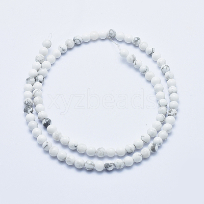 Natural Howlite Beads Strands G-P353-01-4mm-1