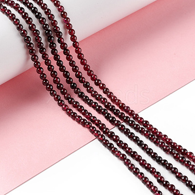 Natural Garnet Beads Strands G-F717-14-1