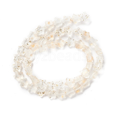 Transparent Glass Beads Strand X1-GLAA-F112-04K-1