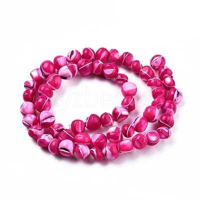 Natural Trochid Shell/Trochus Shell Beads Strands SSHEL-N032-48-A06-1