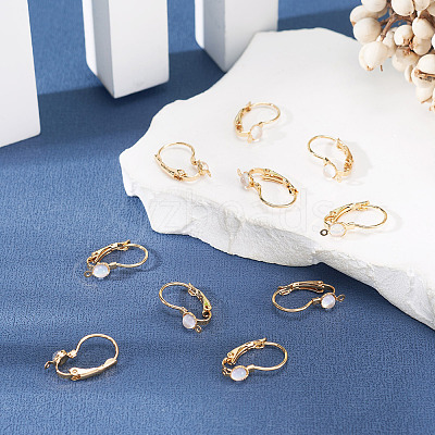 10Pcs Flat Round Brass Glass Leverback Earring Findings KK-TADJ0001-18-1