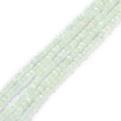 Natural Green Beryl Beads Strands G-D463-03-1