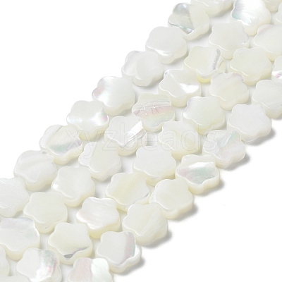 Natural Trochus Shell Beads Strands BSHE-P033-07-1