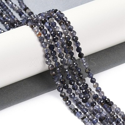 Natural Iolite Beads Strands LS-G-G139-A11-03-1