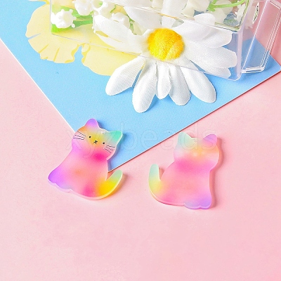 Colorful Acrylic Cabochons FEST-PW0001-033A-1