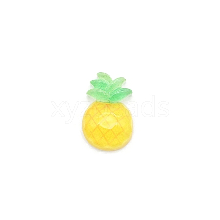 Translucent Resin Fruit/Vegetable Cabochons PW-WG63310-02-1