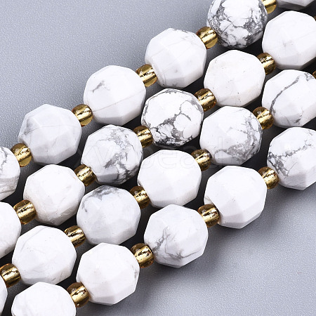 Natural Howlite Beads Strands G-T131-81A-1