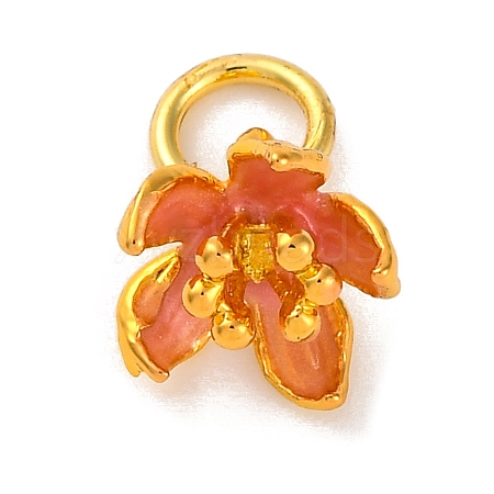 Brass Enamel Charms KK-U042-14G-01-1