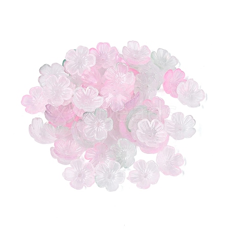 Transparent Plastic Bead Caps KY-Q005-02A-11-1