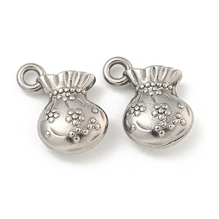 Non-Tarnish 304 Stainless Steel Charms STAS-I307-563P-1