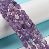 Natural Lepidolite/Purple Mica Stone Beads Strands G-M420-H12-03-2