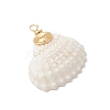 Natural Shell Pendants PALLOY-JF03316-03-3