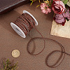 10M Flat Braided Imitation Leather Cords LC-CL0001-04B-3