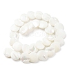 Natural Trochid Shell/Trochus Shell Beads Strands SSHEL-R145-03-2