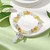 Natural Mixed Stone Chips Stretch Bracelets BJEW-JB11065-03-2