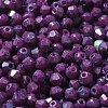 Baking Paint Glass Seed Beads X1-SEED-A032-02A-19-3