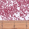 MIYUKI Delica Beads SEED-MY11-DB0362-4