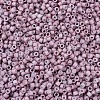 MIYUKI Delica Beads X-SEED-J020-DB0379-2