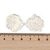 Transparent Glass Beads DGLA-E004-02K-3