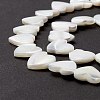 Natural Trochid Shell/Trochus Shell Beads SSHEL-O001-27C-3