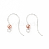 Transparent Resin Earring Hooks LS-RESI-G050-01RG-1