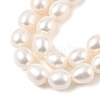 Natural Cultured Freshwater Pearl Beads Strands PEAR-I007-01D-02A-4