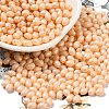 Baking Painted Glass Seed Beads SEED-C004-04J-1