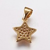 Brass Micro Pave Cubic Zirconia Charm ZIRC-E143-72G-2