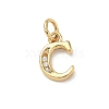 Brass Micro Pave Cubic Zirconia Charms LS-KK-I382-03G-C-1