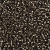 MIYUKI Round Rocailles Beads SEED-G007-RR1431-3