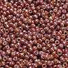 TOHO 6/0 Round Beads SEED-TR06-1201-3