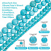 4 Strands 4 Styles Synthetic Turquoise Beads Strands G-AR0005-10-2