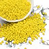 8/0 Glass Seed Beads X2-SEED-A010-3mm-42-1