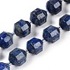 Natural Lapis Lazuli Beads Strands G-O201B-145H-2