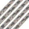 Hotfix Rhinestone Ribbon Trimming DIY-TAC0051-002E-1-3