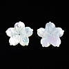 Natural White Shell Beads SSHEL-N027-131E-01-3