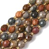 Natural Alashan Agate Beads Strands G-F809-A24-01-2