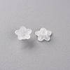 Transparent Acrylic Beads PL554-2