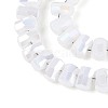 Electroplate Opaque Glass Beads Strands EGLA-N022-09A-C05-3