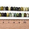Natural Serpentine Beads Strands G-N367-02A-14-5
