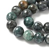 Natural Dioptase Beads Strands G-D302-02-8mm-4