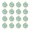 Golden Plated Alloy Enamel Charms ENAM-S118-05C-2