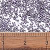 MIYUKI Delica Beads X-SEED-J020-DB1065-3