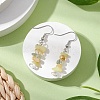 Natural Mixed Stone Dangle Earrings EJEW-JE06154-01-2